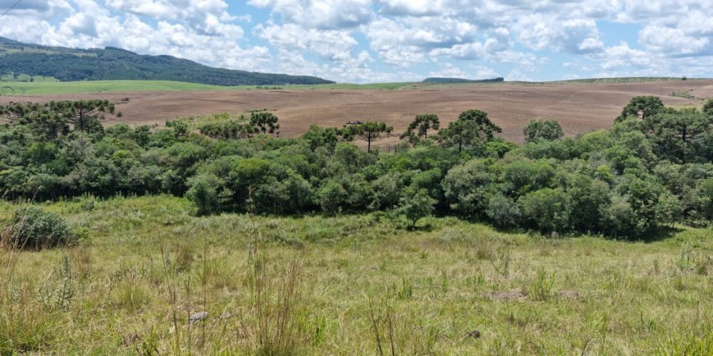 WhatsApp-Image-2022-02-02-at-10.34.26-1